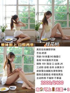 桂花树-奶茶-老司机优选