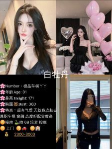 白牡丹- 丫丫-老司机优选